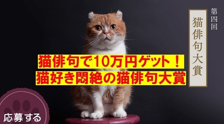 猫俳句で10万円ゲット!猫好き悶絶の猫俳句大賞