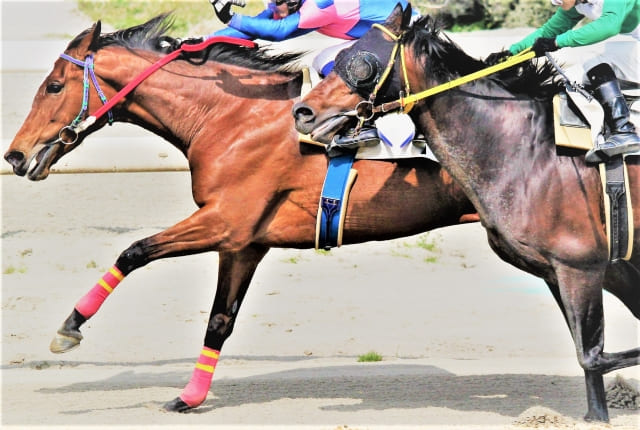 競馬イメージ