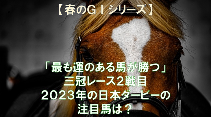 「最も運のある馬が勝つ」三冠レース2戦目　2023年の日本ダービーの注目馬は？